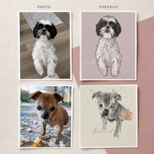 Custom Digital Pet Portrait (Commission)